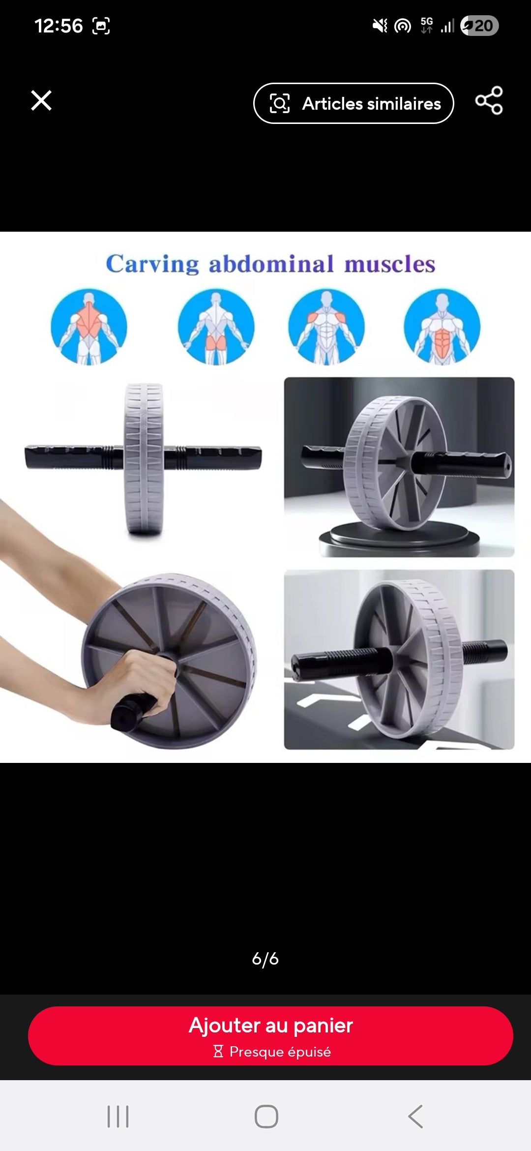 Roue abdominale